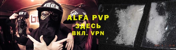 гашик Арсеньев