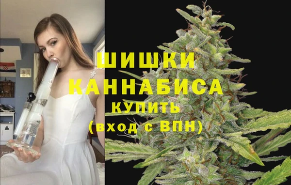 гидропоника Балабаново