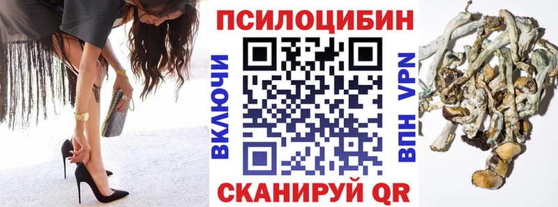 Псилоцибиновые грибы Psilocybe  Купить закладки  Олёкминск 